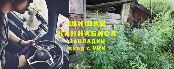 крисы Янаул