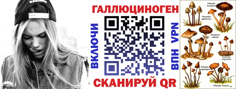 Галлюциногенные грибы Psilocybine cubensis  Бугуруслан 
