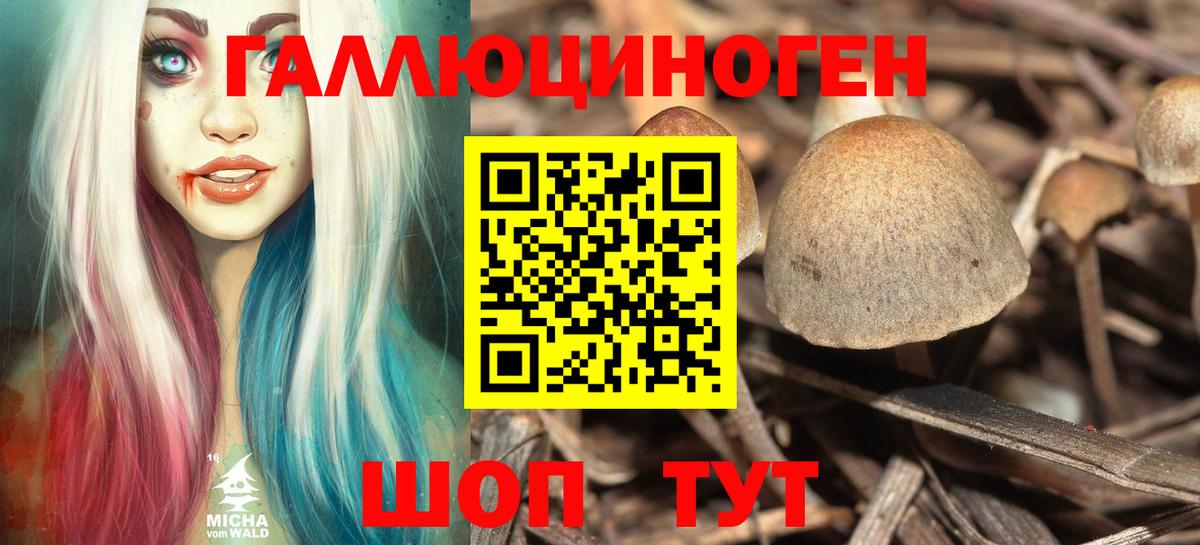 Галлюциногенные грибы прущие грибы  Вход с VPN  хочу   Бугуруслан 